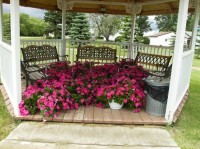Flowers at Gazebo