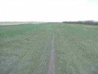 Pangman's Landing Strip