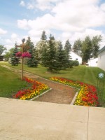 Flowers along Walkway in Pangman Park