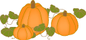 pumpkins-th