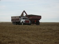 Truck and Grain Cart