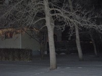 HPIM0351