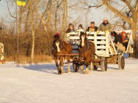 sleigh1
