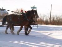 sleigh2