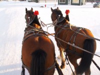 sleigh3