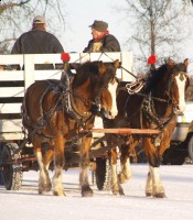 sleigh4
