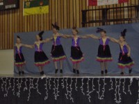 Brazil by Junior Jazz