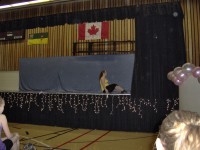 Lyrical Solo