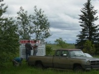Sign2
