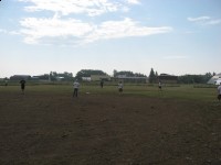 baseballd baseballd
