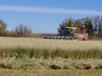 CF2010b