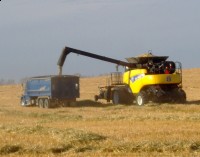 CF110810A