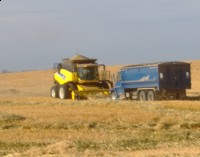 CF110810C
