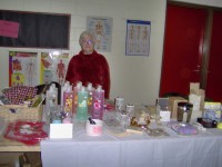 craft2010f