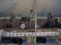 Fur Eel performing