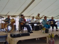 Local Musicians