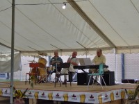 Local Musicians