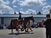 Parade14