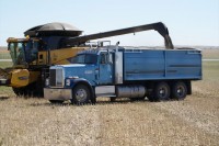 harvest 163