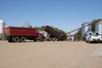 harvest 173