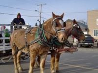 Sleigh1222211M Sleigh1222211M